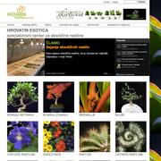 Indoor plant care home