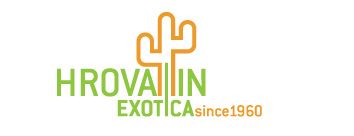 Hrovatin exotica - exotic plants catalog