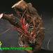 Tillandsia bulbosa 2832