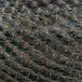 Mammillaria supertexta SIt