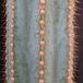 Pilosocereus azureus SIt