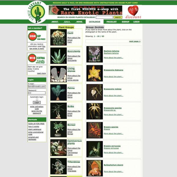 catalog indoor plant groups